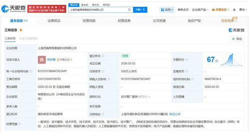 智元機(jī)器人領(lǐng)銜，覓蜂具身智能科技公司落戶上海 500萬(wàn)注冊(cè)資本撬動(dòng)AI基礎(chǔ)軟件開發(fā)新局